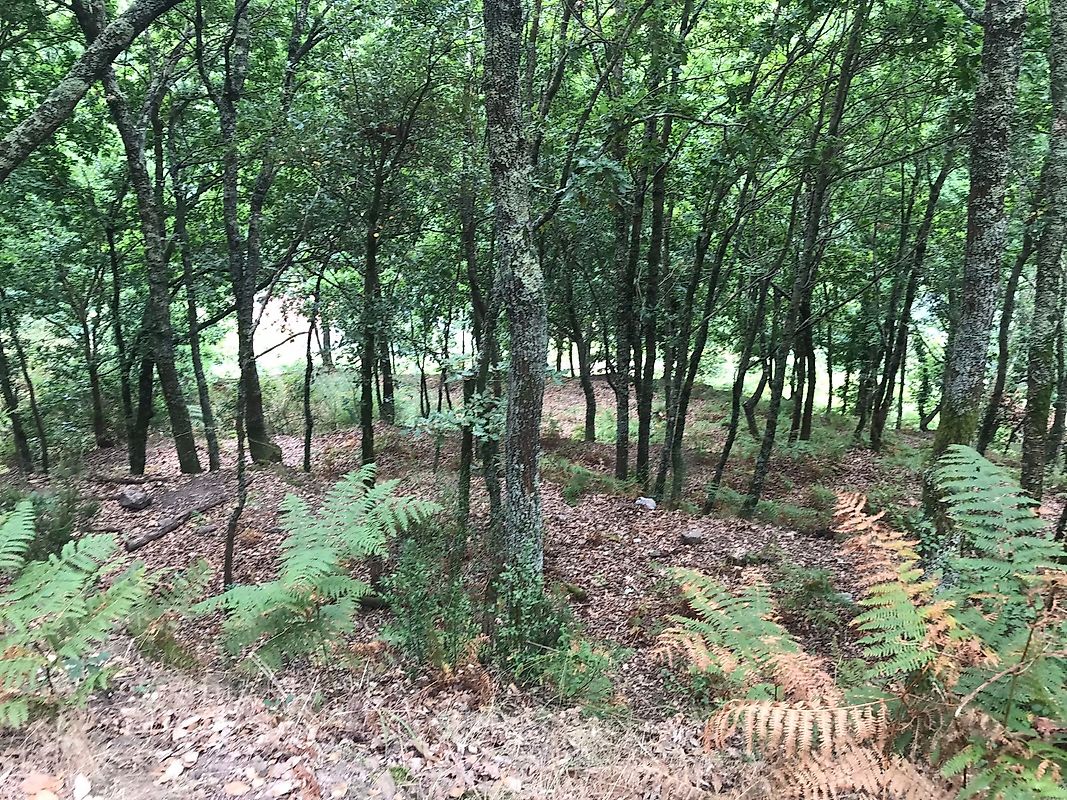 listing 126371008-5 picture-0