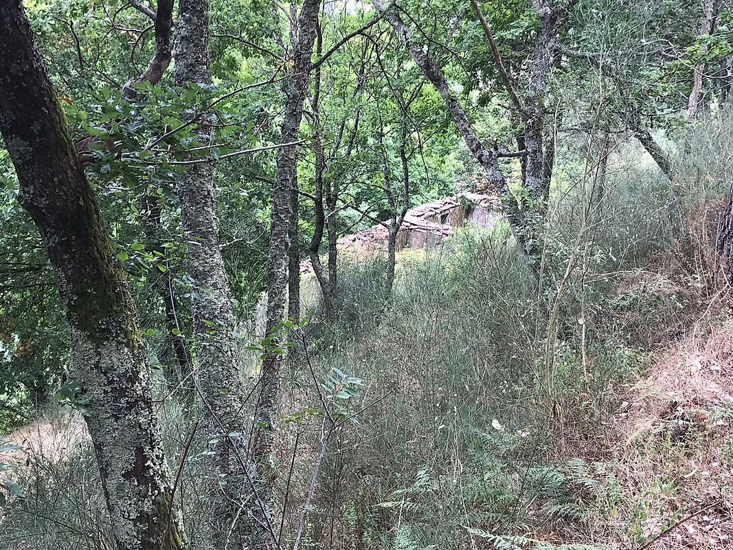 listing 126371008-5 picture-0