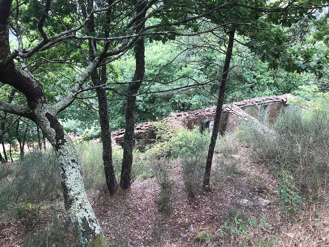 listing 126371008-5 picture-0