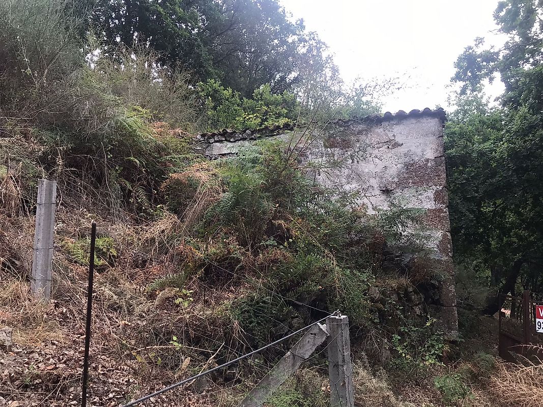 listing 126371008-5 picture-0