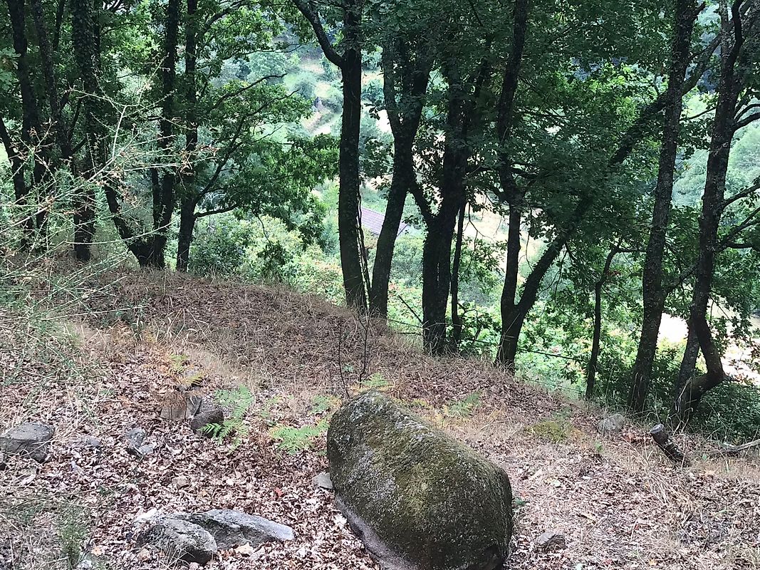 listing 126371008-5 picture-0