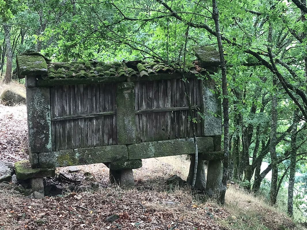 listing 126371008-5 picture-0