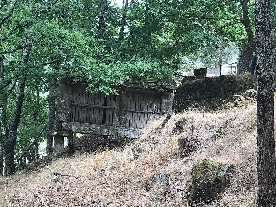 listing 126371008-5 picture-0