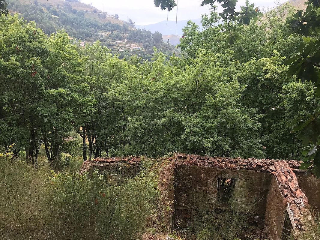 listing 126371008-5 picture-0