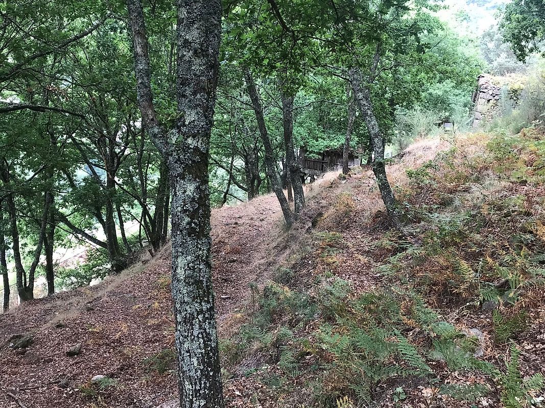 listing 126371008-5 picture-0