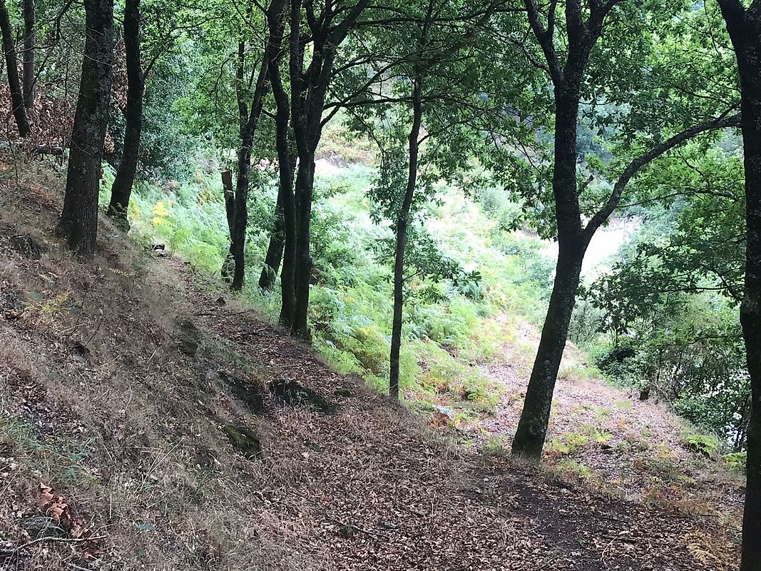 listing 126371008-5 picture-0