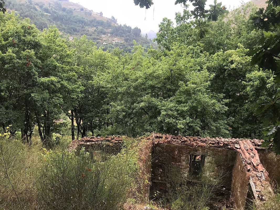 listing 126371008-5 picture-0