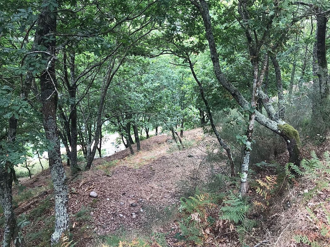 listing 126371008-5 picture-0