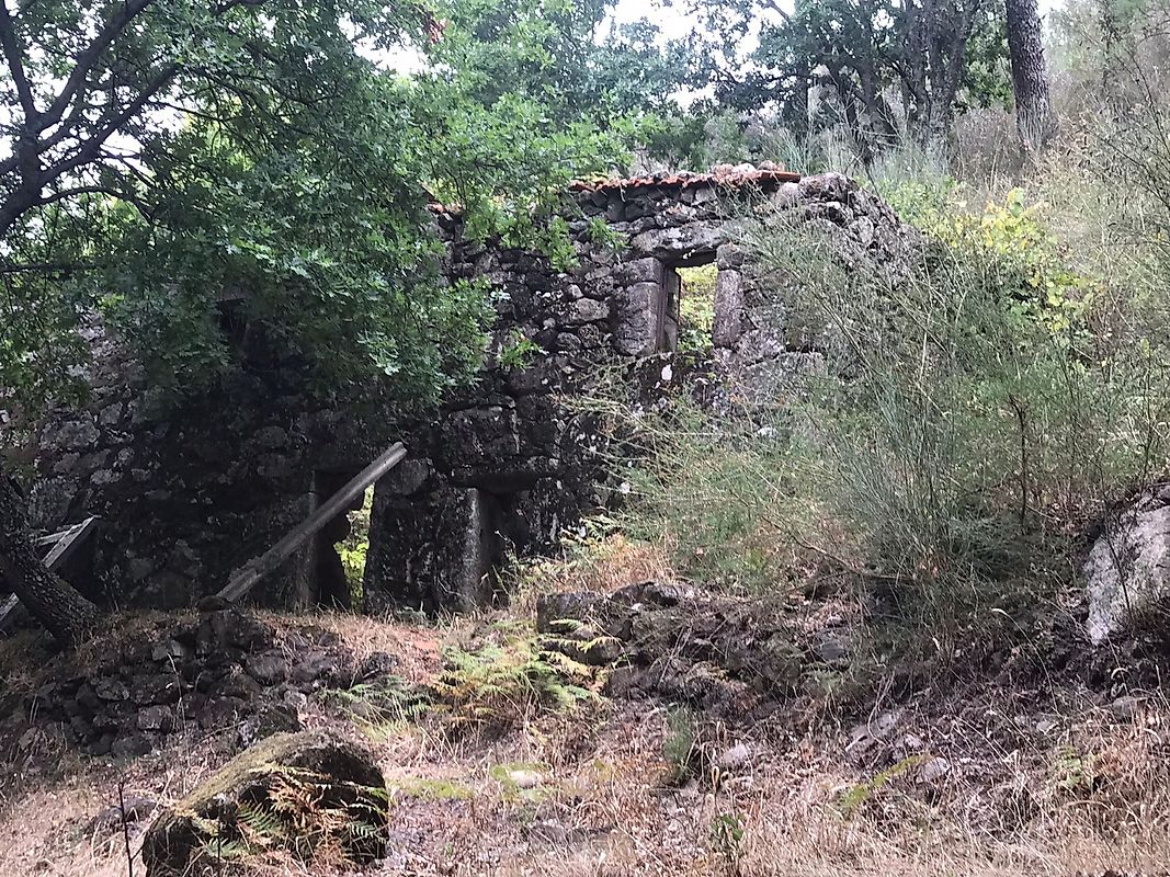 listing 126371008-5 picture-0