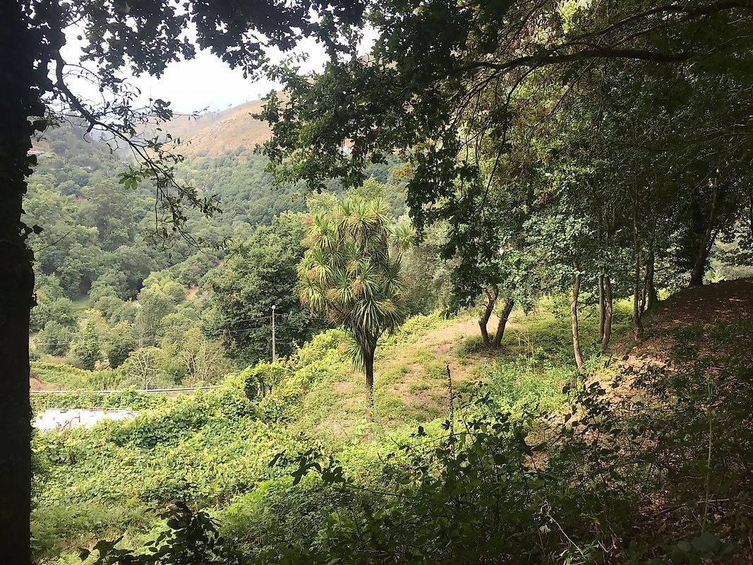 listing 126371008-5 picture-0