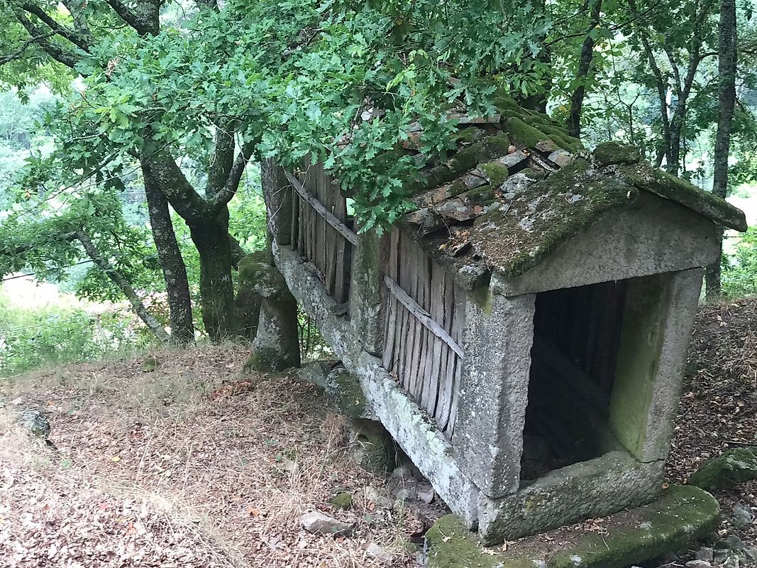 listing 126371008-5 picture-0