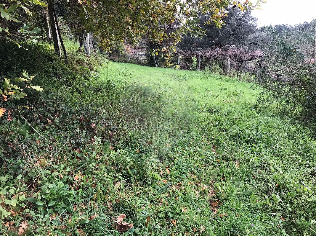 Terreno para venda