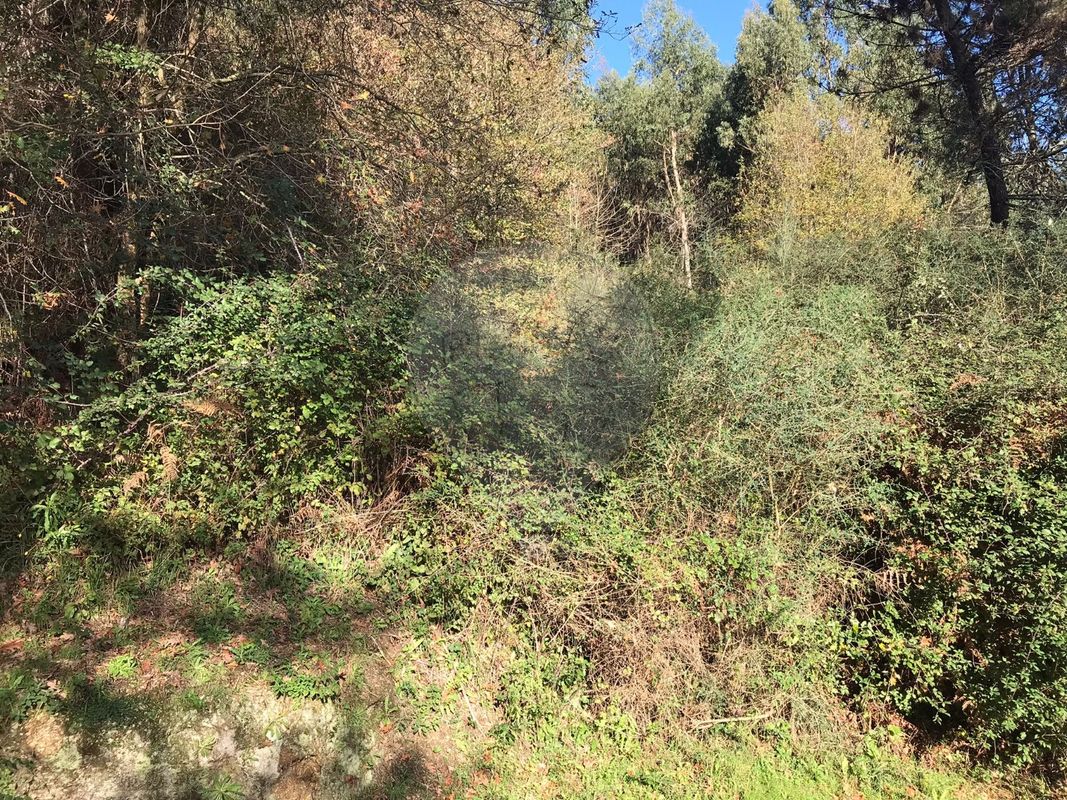 Terreno para venda