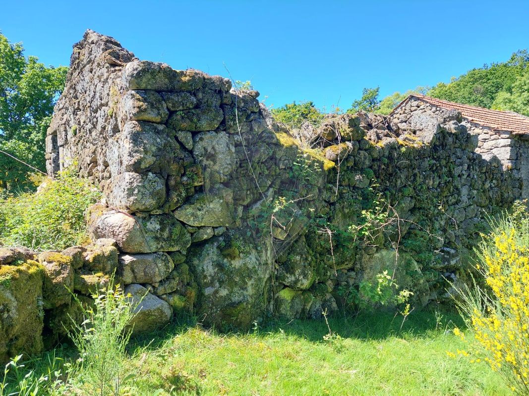 TODO
