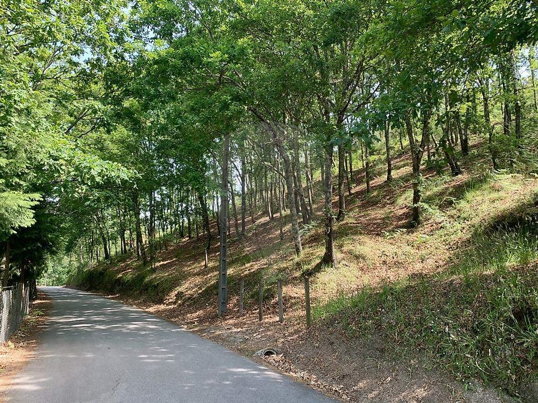 Terreno à venda em Arcos de Valdevez