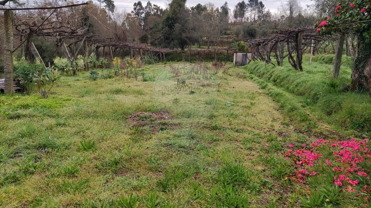 Terreno para venda