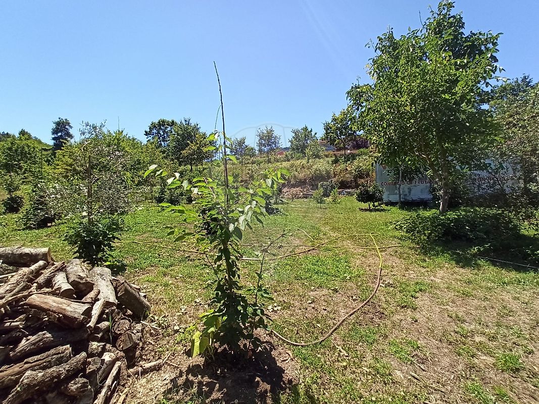 Moradia T6+ à venda em Arcos de Valdevez (Salvador), Vila Fonche e Parada, Arcos de Valdevez — foto 40