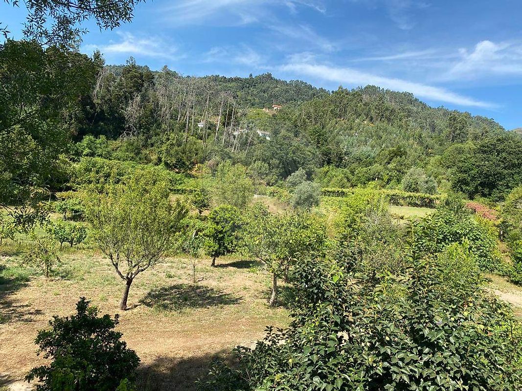 Terreno para venda