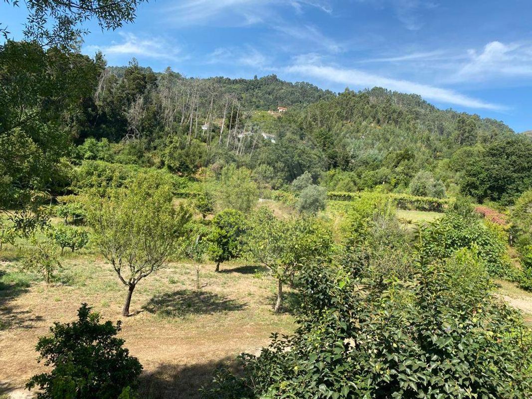 Terreno para venda