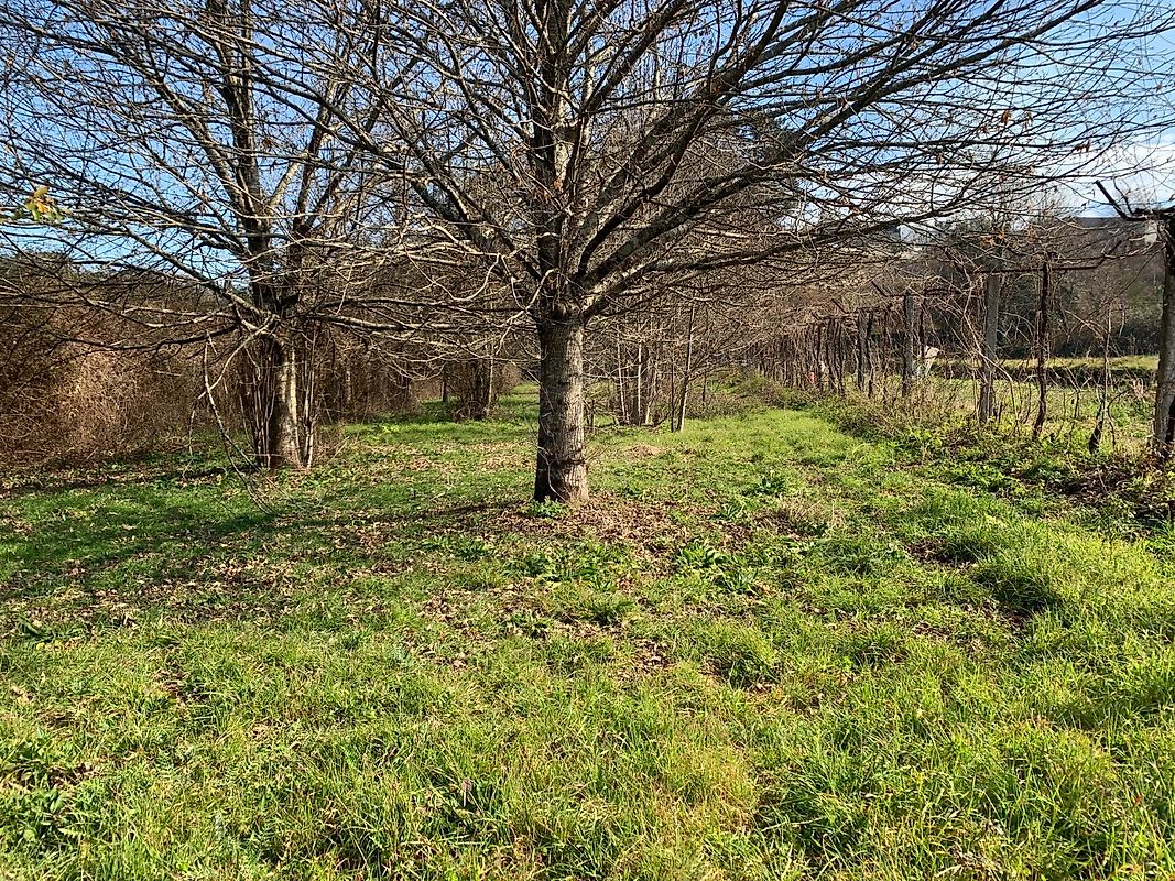 Terreno  à venda em Ponte da Barca