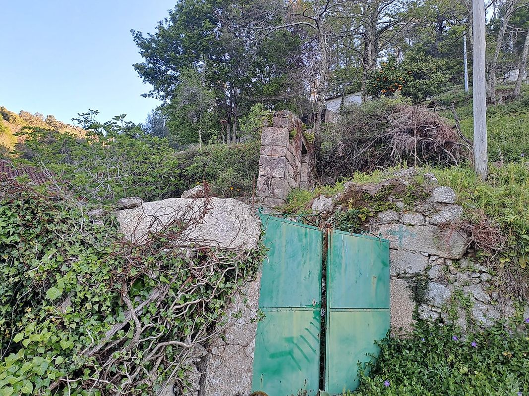 listing 123721084-2 picture-0