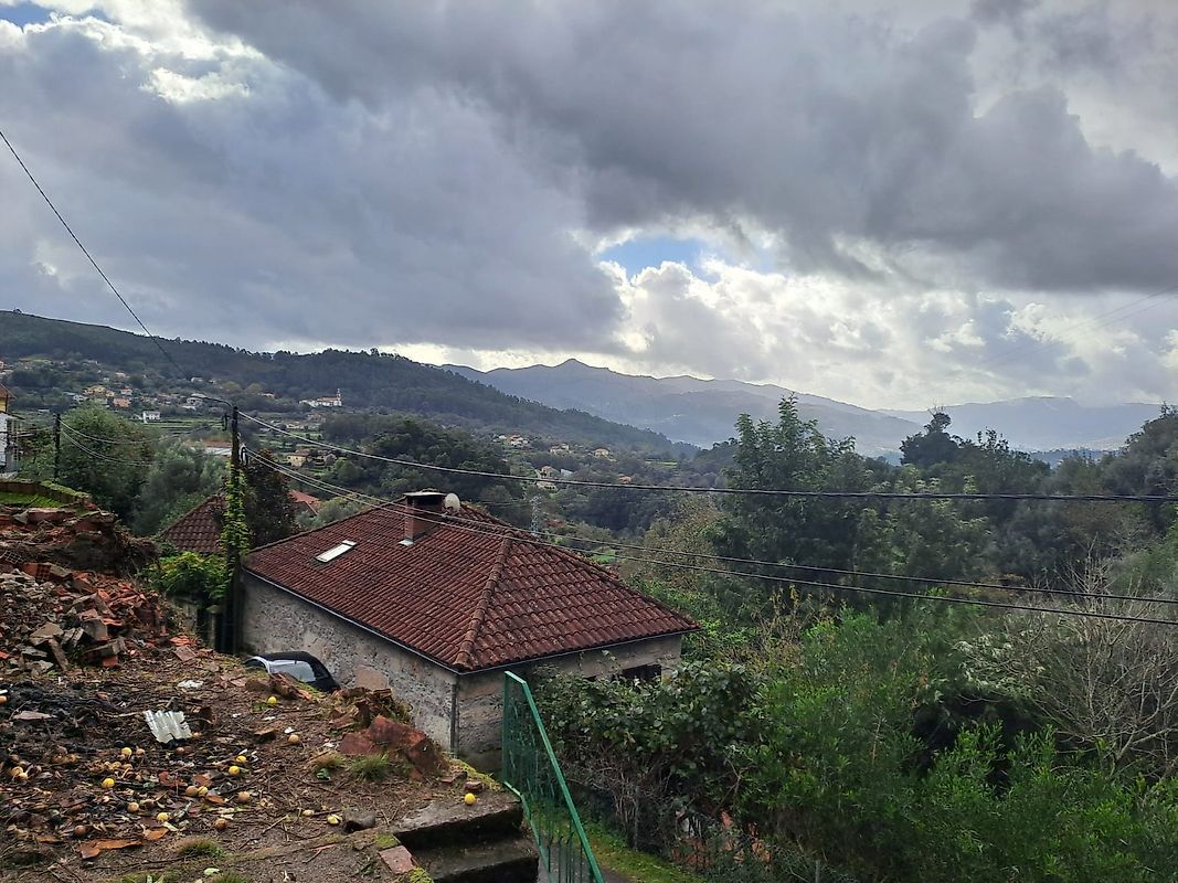 listing 123721084-2 picture-0