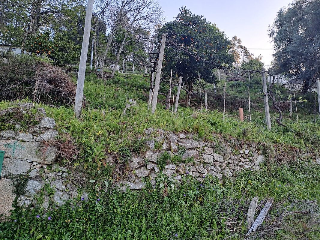 listing 123721084-2 picture-0