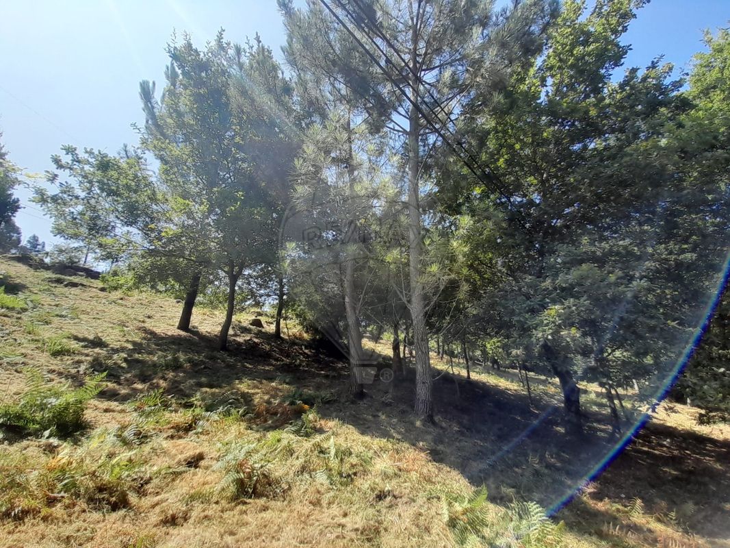 TODO