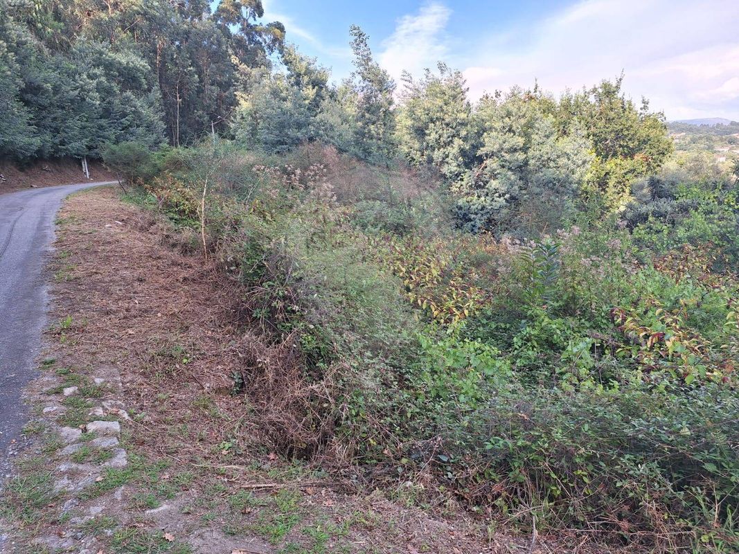 Terreno  para venda