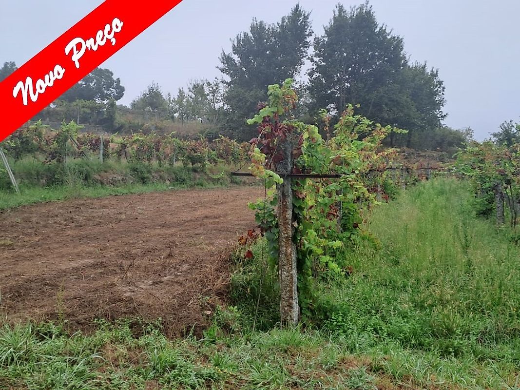Terreno - São Jorge e Ermelo, Arcos de Valdevez, Viana do Castelo
