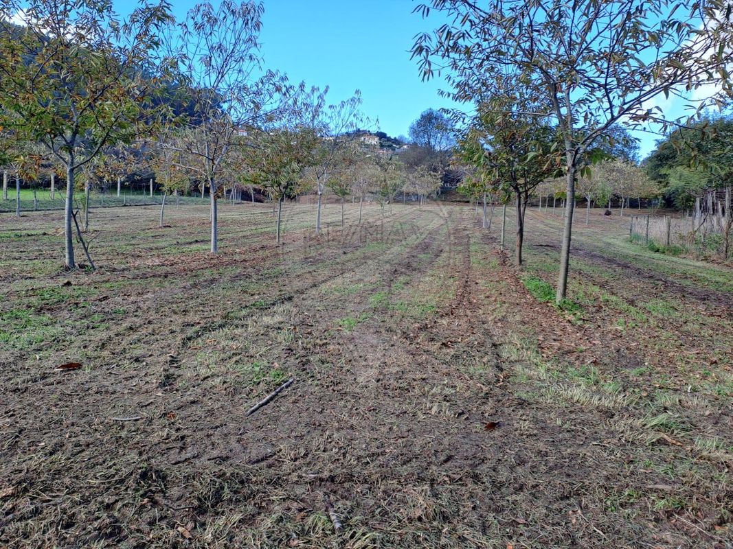 Terreno  para venda