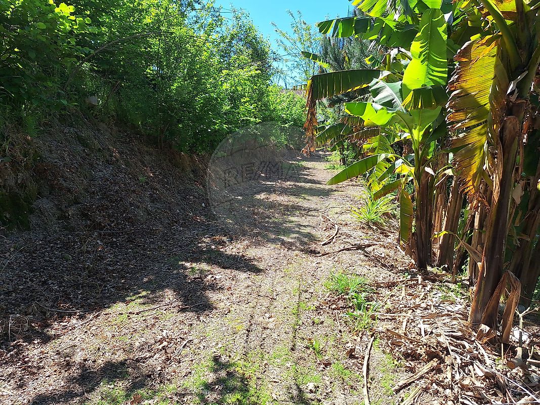 Terreno à venda em Arcos de Valdevez
