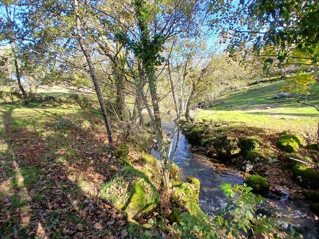 Terreno para venda