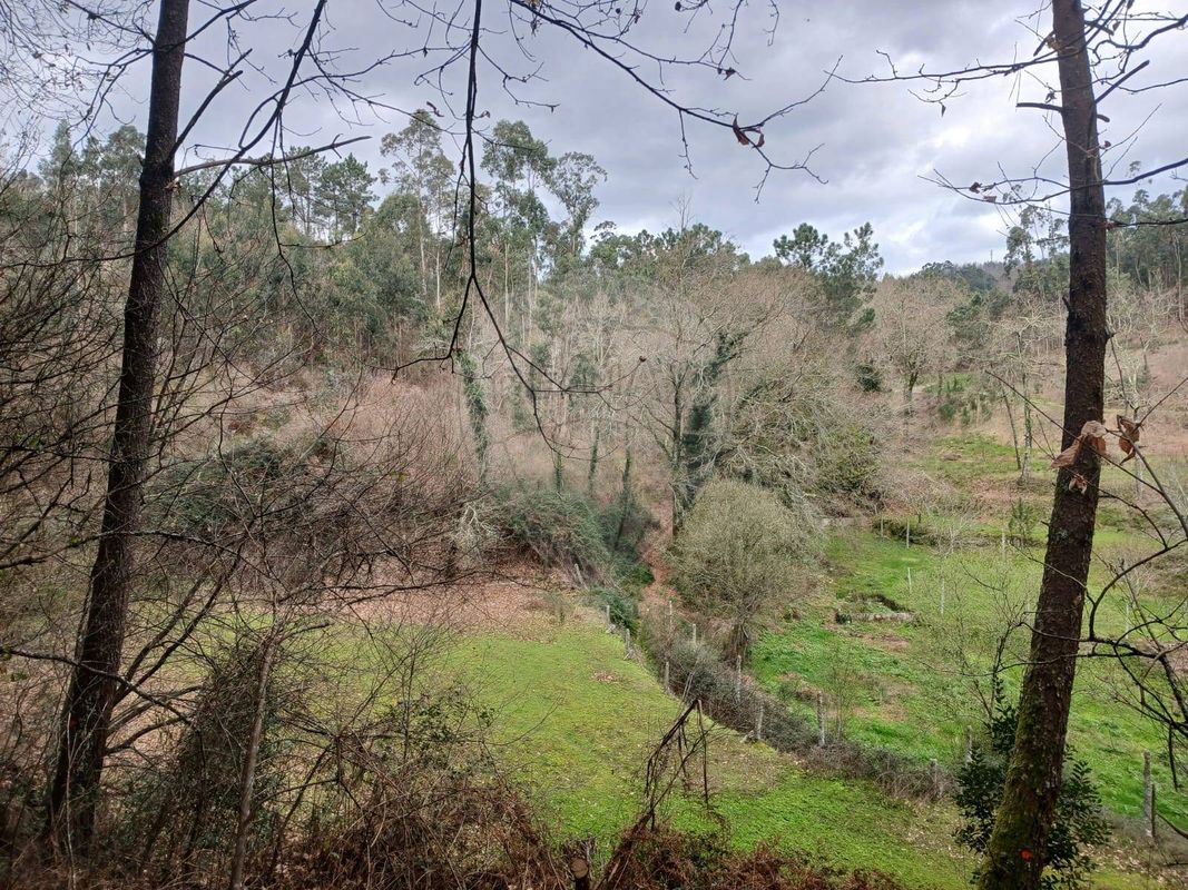 Terreno para venda