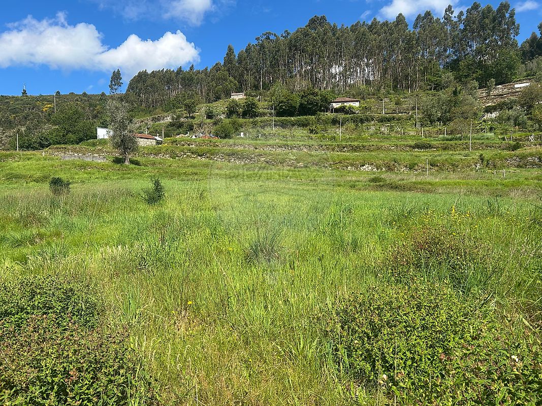 Terreno para venda