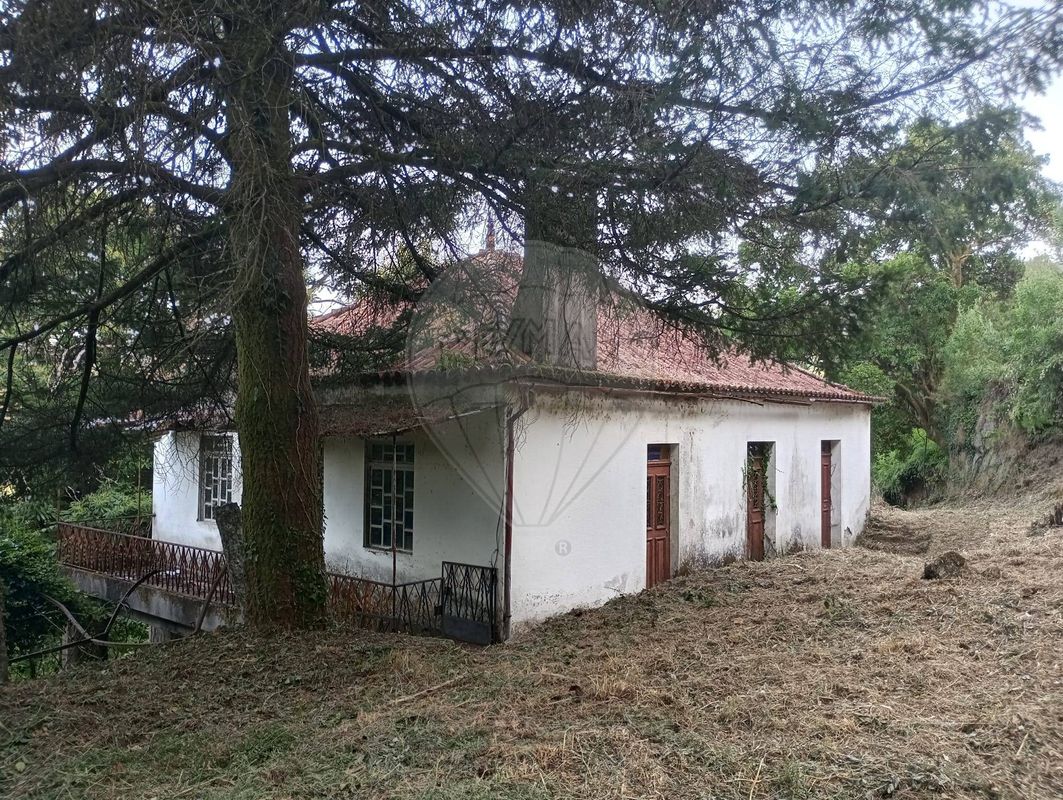 TODO