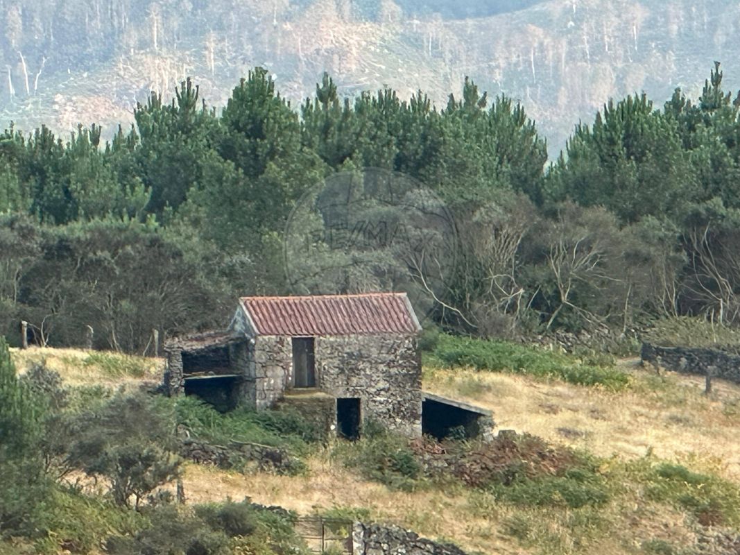 Terreno  para venda