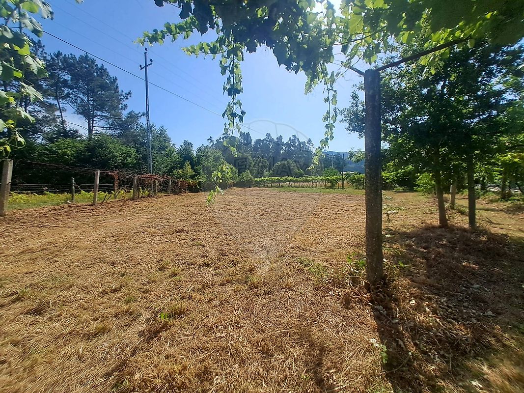 Terreno para venda
