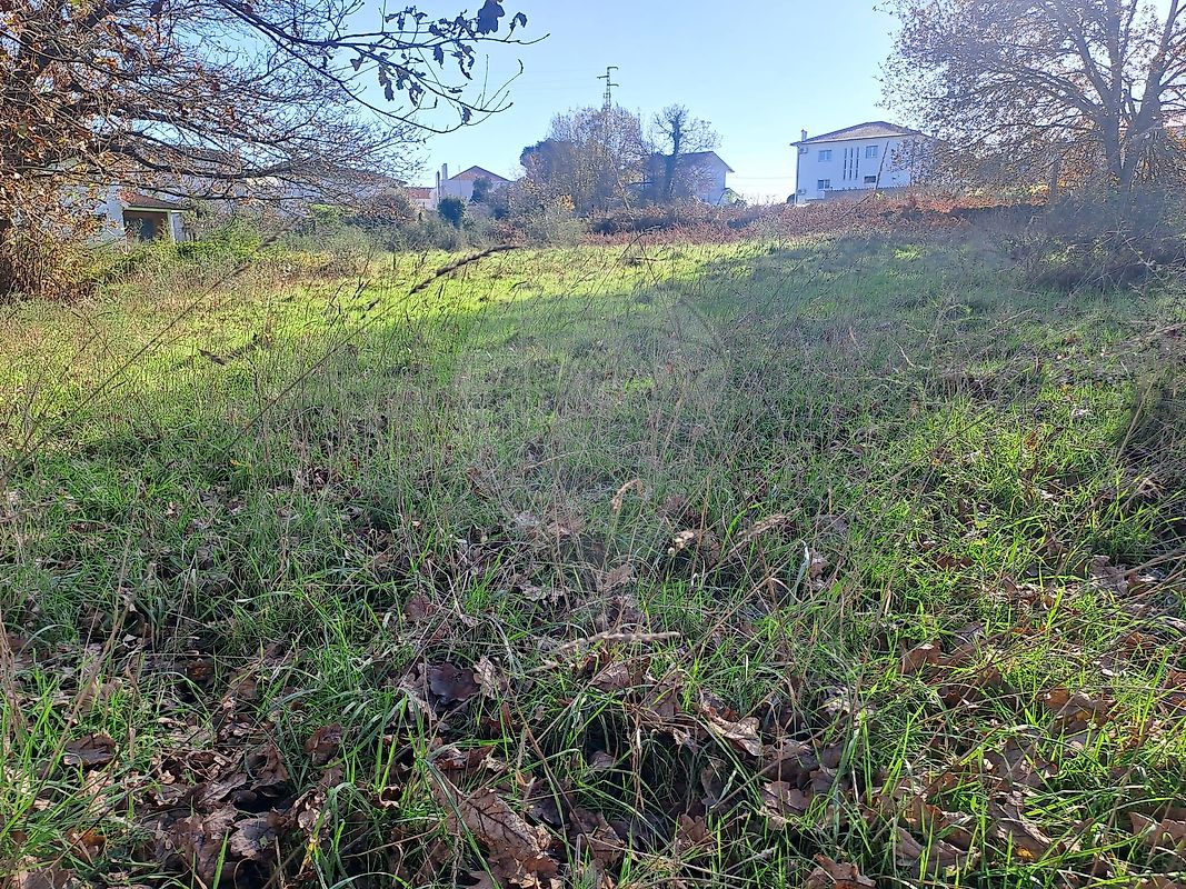 Terreno - Arcos de Valdevez (Salvador), Vila Fonche e Parada, Arcos de Valdevez, Viana do Castelo