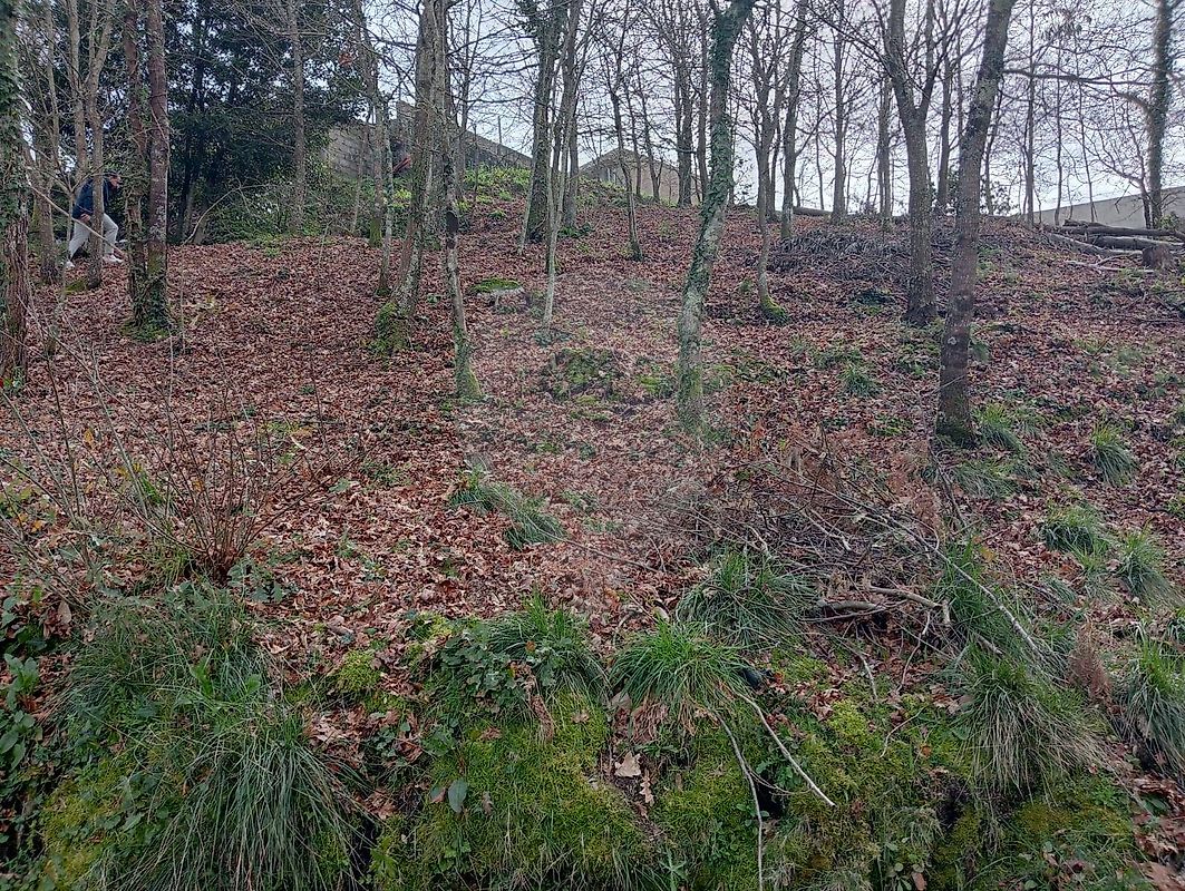 Terreno à venda em Arcos de Valdevez