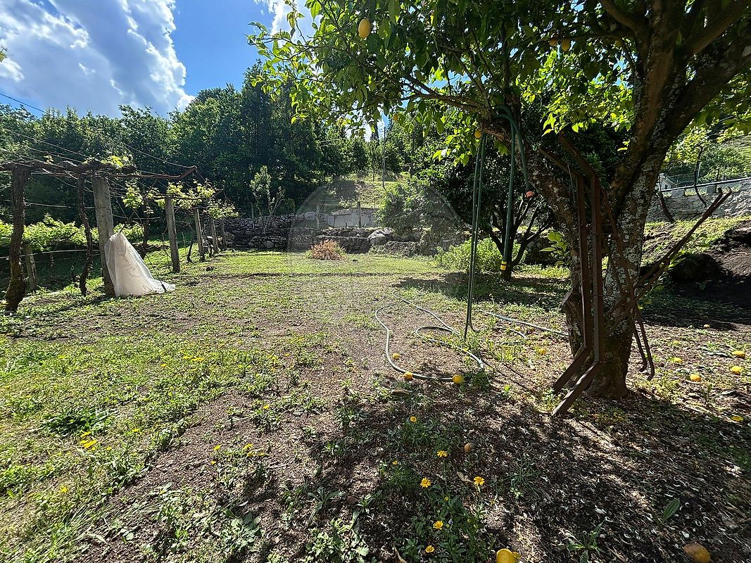 Moradia T6+ à venda em Britelo, Ponte da Barca — foto 15