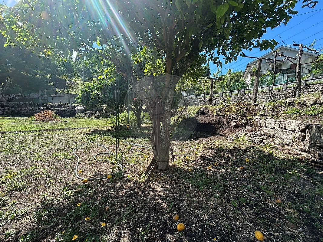 Moradia T6+ à venda em Britelo, Ponte da Barca — foto 14