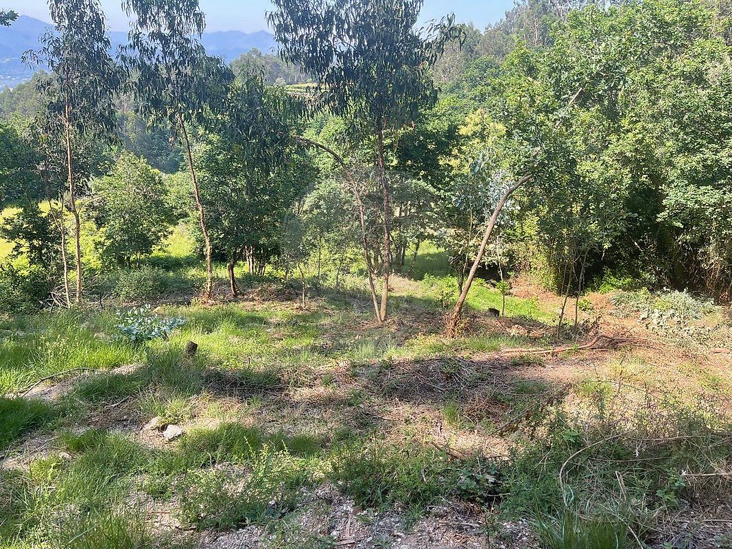 Terreno - Cendufe, Arcos de Valdevez, Viana do Castelo