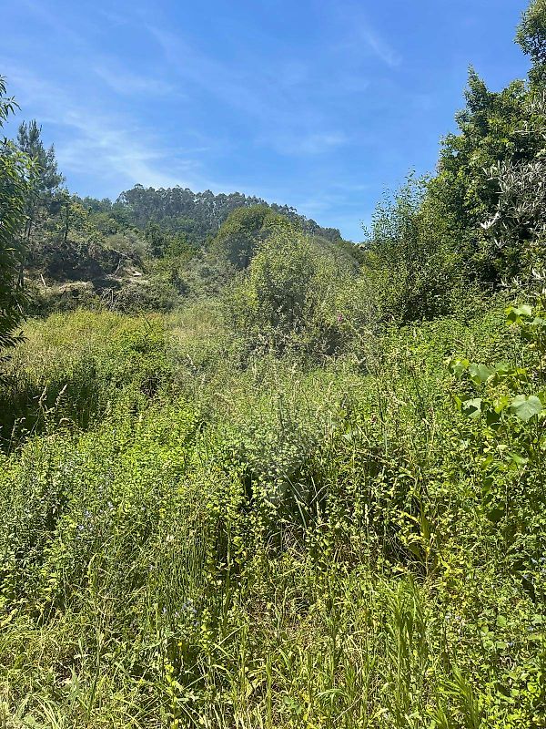Moradia T3 à venda em Souto e Tabaçô, Arcos de Valdevez — foto 7