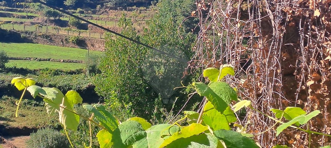 Moradia T3 à venda em Grade e Carralcova, Arcos de Valdevez — foto 3