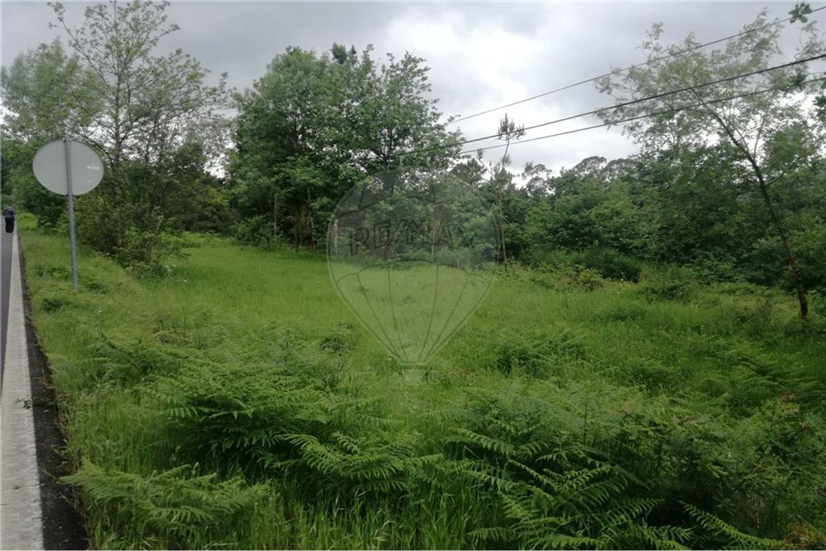 listing 126971005-1 picture-0