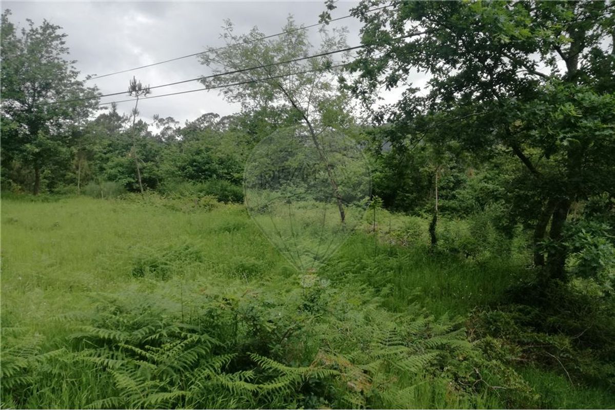 listing 126971005-1 picture-0