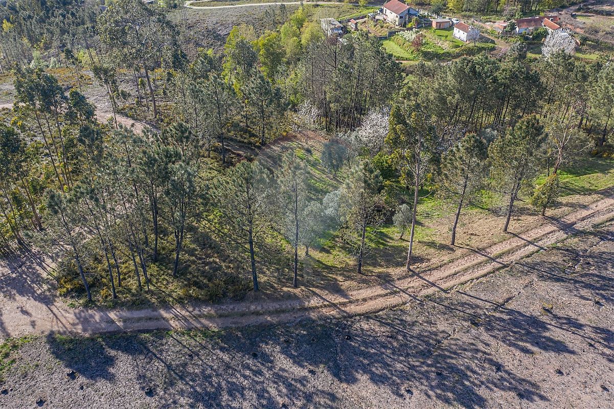 Terreno  à venda em Ponte de Lima