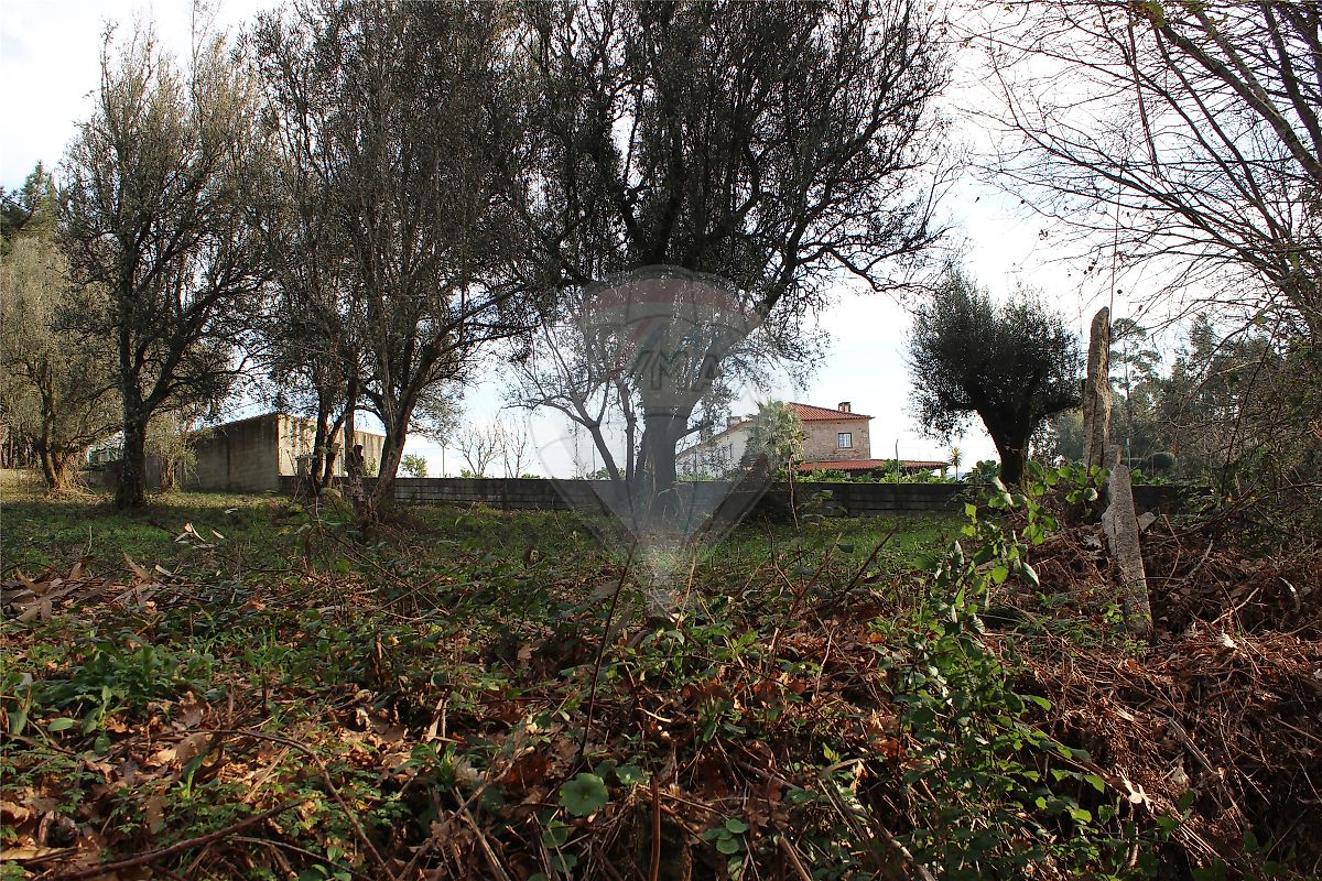 Land for sale in Ponte de Lima, Portugal — €60,000