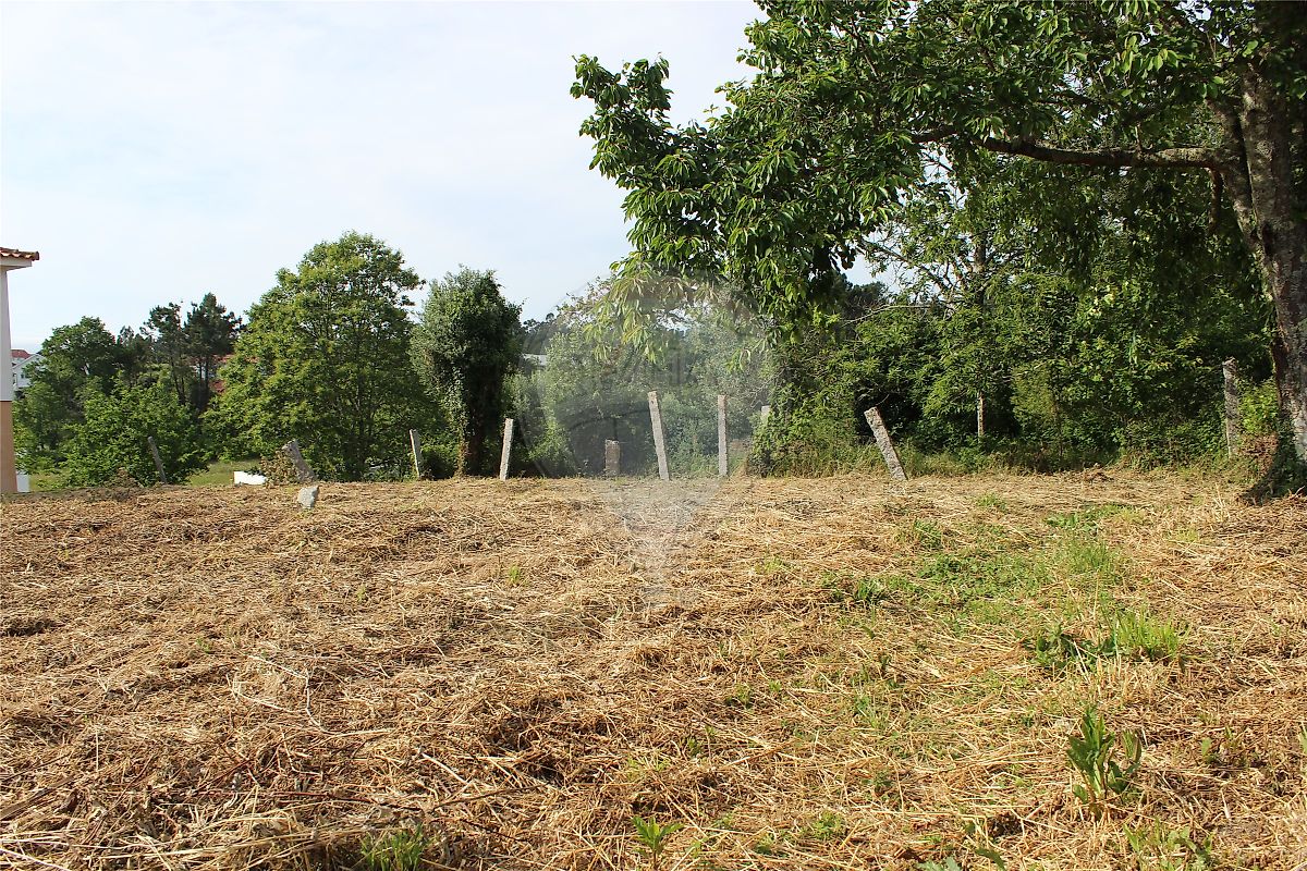 Terreno  à venda em Valença